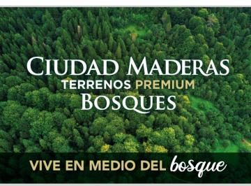 Terreno / Lote · 195m² · Terreno en Ciudad Madera - Bosques en Corregidora