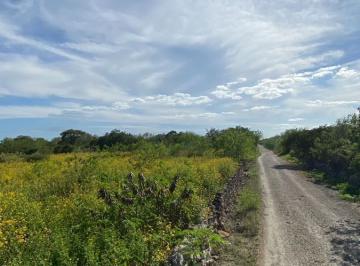 Terreno / Lote · 84943m² · Terreno en Venta en Dzidzantun