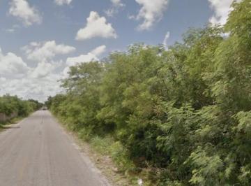 Terreno / Lote · 320000m² · Terreno en Venta en Mococha