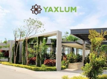 Terreno / Lote · 475m² · Terreno en Venta Yaxlum