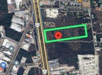 Terreno / Lote · 10000m² · Terreno en Venta y Renta Carretera Merida a Progreso
