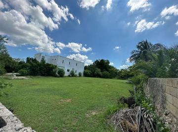 Terreno / Lote · 7249m² · Terreno en Venta en Cholul