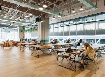 Oficina · 250m² · 8 Estacionamientos · Oficina Petfriendly en Renta en Park Plaza en Av Javier Barros Sierra en Colonia Santa Fe - (4)