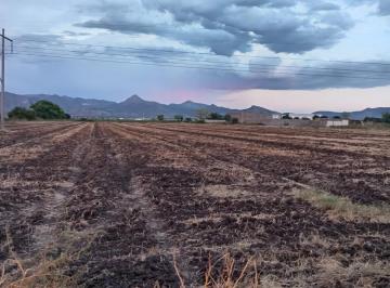 Terreno / Lote · 40000m² · Terreno en Lombardo Toledano