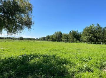 Terreno / Lote · 12484m² · Terreno en Venta en El Poblado 15 de Septiembre - (4)