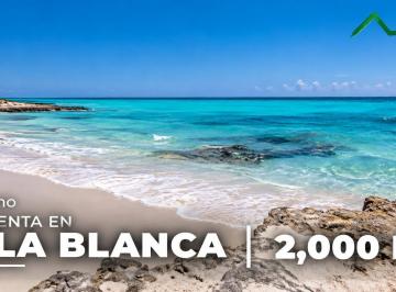 Terreno / Lote · 2000m² · 1 Estacionamiento · Terreno de 2,000 m² en Venta Frente Al Mar en Isla Blanca, Cancún