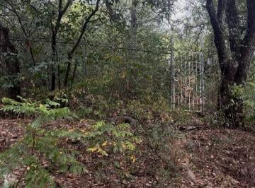 Terreno / Lote , Santiago · Terreno - Los Rodriguez