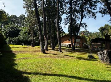 Terreno / Lote , Valle de Bravo · Terreno en Venta en El Centro de Avandaro