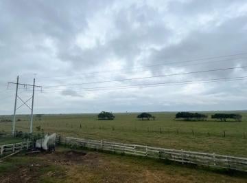 Terreno / Lote · 800m² · Rancho de 80 Hectáreas en Venta en Tlacotalpan