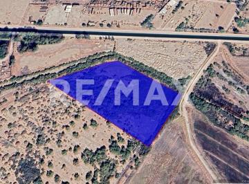Terreno / Lote · 20000m² · En Venta Terreno Agricola en Colonia Abasolo - (4)