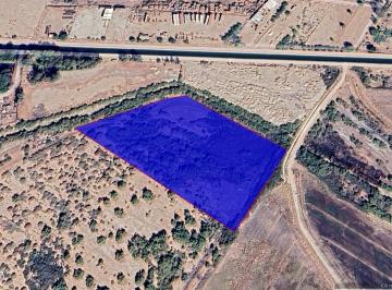 Terreno / Lote · 20000m² · En Venta Terreno Agricola en Colonia Abasolo - (4)