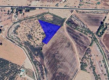 Terreno / Lote · 15793m² · En Venta Terreno Agricola en Colonia Abasolo - (4)