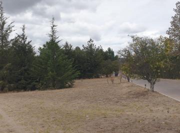 Terreno / Lote · 196m² · Terreno en Venta en Fraccionamiento en Huamantla, Estado de Tlaxcala. - (4)
