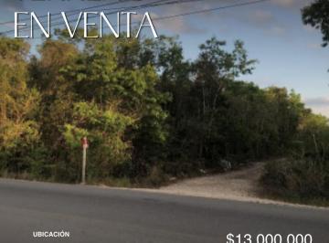 Terreno / Lote · 5000m² · Terreno en Venta de 5000 m² en Calle Rogelio Castorena, Cancún