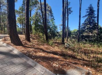 Terreno / Lote , Valle de Bravo · Excelente Terreno en Venta, Avandaro