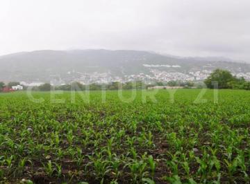 Terreno / Lote · 61200m² · Chilpancingo - Guerrero