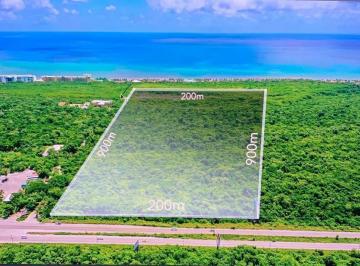 Terreno / Lote · 180000m² · Terreno de 18 Ha en La Riviera Maya, 200 m Sobre La Carretera