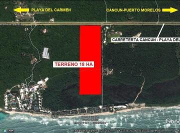 Terreno / Lote · 180000m² · Terreno de 18 Ha en Playa del Carmen Rodeado de Importantes Desarrollos