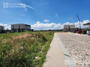 Terreno / Lote · 300m² · Terreno en Venta en Lomas del Campanario Norte, San Felipe