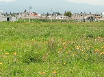 Terreno / Lote · 56348m² · Venta, Terreno, Zinacantepec