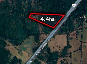 Terreno / Lote , Veracruz · 4.4 Hectáreas en Venta en Mata de Pita Veracruz | Arlette Flores