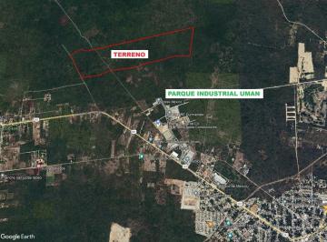 Terreno / Lote · 800000m² · Terreno 80 Ha Umán Para Uso Industrial o Vivienda Económica