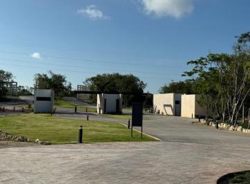 Terreno / Lote , Solidaridad · Oportunidad - Remato Excelente Terreno, Xpu - Ha, Tulum