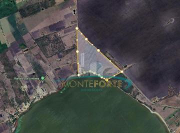 Terreno / Lote · 250000m² · Terreno en Pánuco