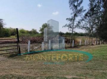 Terreno / Lote · 280000m² · Terreno en Ampliacion Santa Amalia