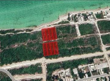 Terreno / Lote , Progreso · Lotes Disponibles en Chuburná Puerto