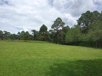 Terreno / Lote · 9100m² · Terreno de 1 Ha en Go Karts, Valle de Bravo