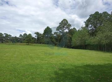 Terreno / Lote · 9100m² · Terreno de 1 Ha en Go Karts, Valle de Bravo
