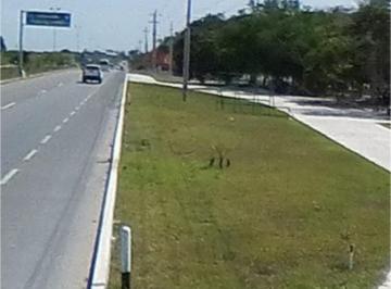 Terreno / Lote · 5000000m² · Terreno en Venta en Punta Maroma, Quintana Roo | Kco1121