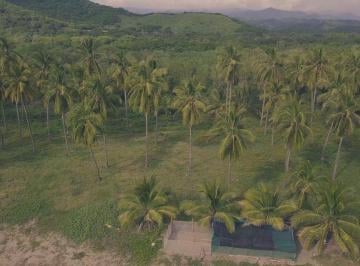 Terreno / Lote , Zihuatanejo de Azueta · Terreno en Venta en Buena Vista, Zihuatanejo de Azueta, Guerrero | Kc0060