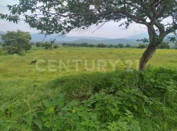 Terreno / Lote · 145m² · Terreno Rustico en Venta Miacatlán Mor.