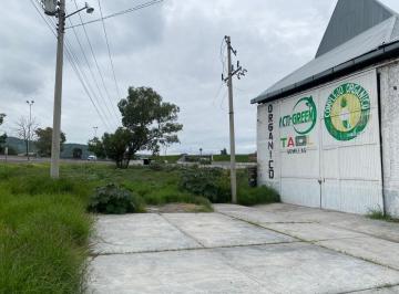 Bodega-Galpón · 1600m² · 4 Estacionamientos · Bodega en Renta en Abasolo - (4)