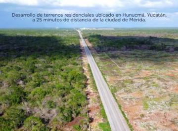 Terreno / Lote · 320m² · Venta de Terreno Residencial en Hunucma, Yucatán - Reliquia
