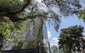 Oficina , Miguel Hidalgo · Oficinaen Renta, Polanco V Sección