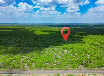 Terreno / Lote , Hunucmá · Terreno de 35 Hectáreas con Frente Carretera Hunucma - Tetiz, Yucatán