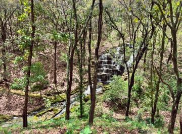 Terreno / Lote , Teuchitlán · Terrenos en Venta con Servicios en El Bosque Reserva de Los Encinos