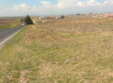 Terreno / Lote · 19000m² · Terreno en Almoloya de Juarez