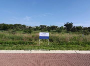 Terreno / Lote , Lagos de Moreno · En Venta Excelente Terreno Comercial en El Centro de Ciudad Maderas