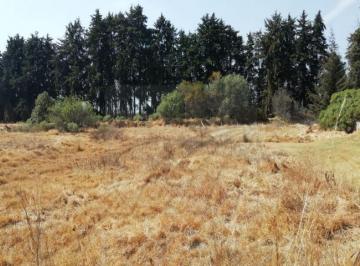 Terreno / Lote · 1670m² · Terrenos en Venta en La Aurora II, Zinacantepec