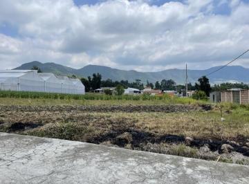 Terreno / Lote · 2500m² · Terreno en Venta Cerca de Carretera Tenancingo - Zumpahuacan
