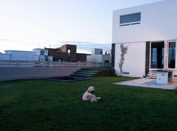 Casa en condominio de 6 habitaciones, San Miguel de Allende · Casa Chic