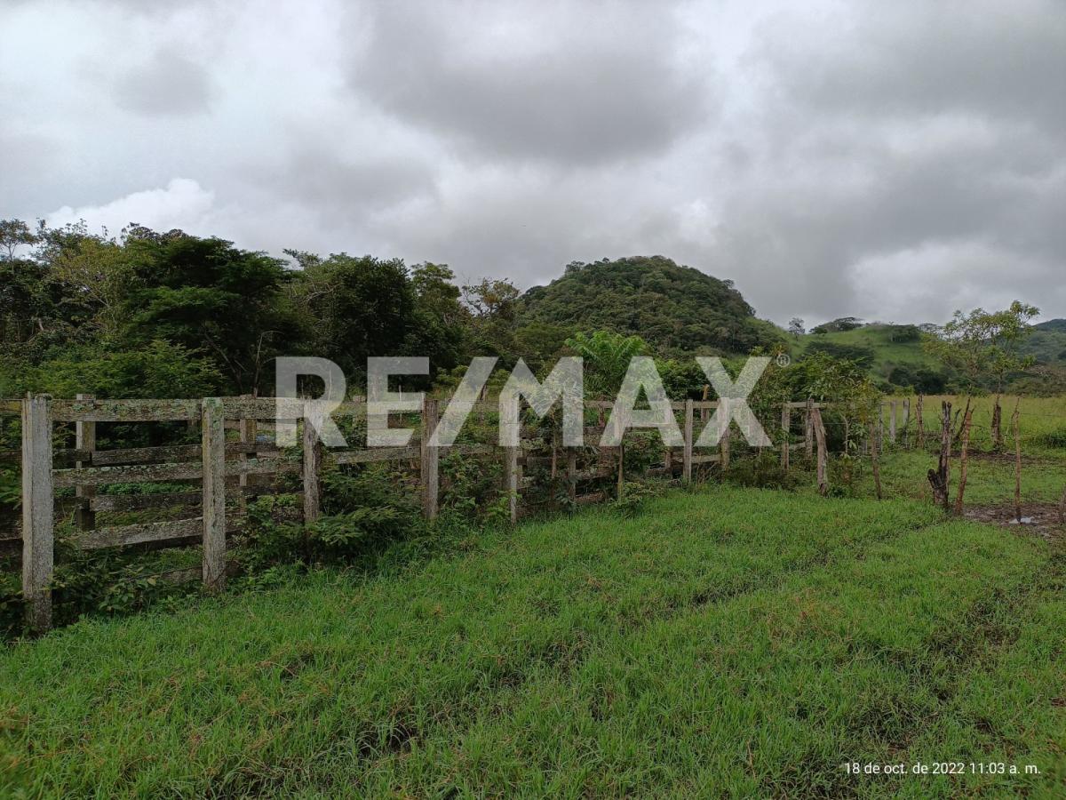Se Vende Rancho de 100 Hectáreas a Tan Solo 3.5 Km de La Carretera Federal