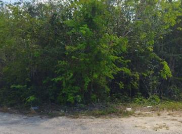 Terreno / Lote · 300m² · Terreno en Venta Sobre Av Entrando por Av Huayacan