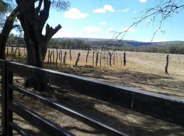 Terreno / Lote , Colotlán · Terreno de 5.71ha en Venta en Colotlán
