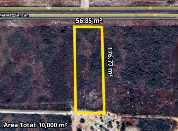 Terreno / Lote · 10000m² · Terreno en Carretera Mérida - Cancún