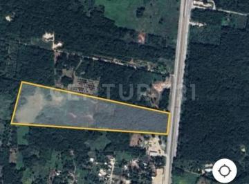 Terreno / Lote · 84635m² · Venta de Terreno en Dzitbalche, Kalkini, Campeche